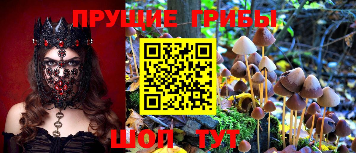 Казань  магазин продажи   Вход с VPN  Псилоцибиновые грибы мухоморы 
